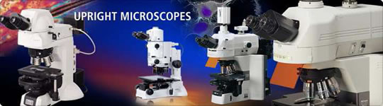 microscopi dritti