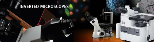 microscopi rovesciati